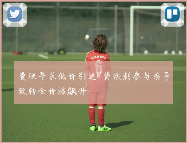 曼联寻求低价引进M费热刺参与或导致转会价格飙升